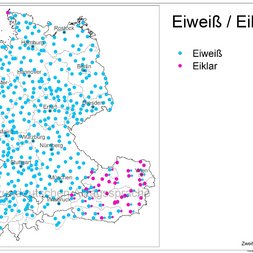 AdA-Karte: Eiweiß / Eiklar